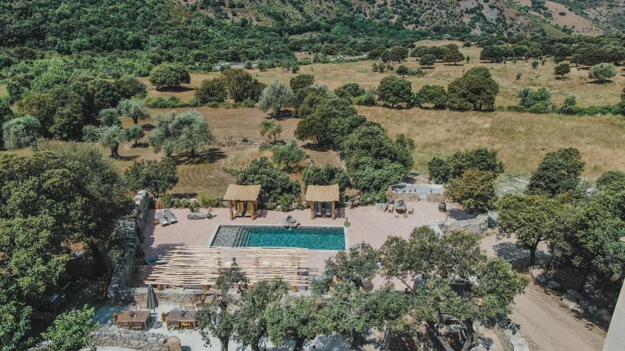 Residence De Luxe 4 Etoiles A Pietralba, 4 Logements Piscine Chauffee Balagne Екстериор снимка