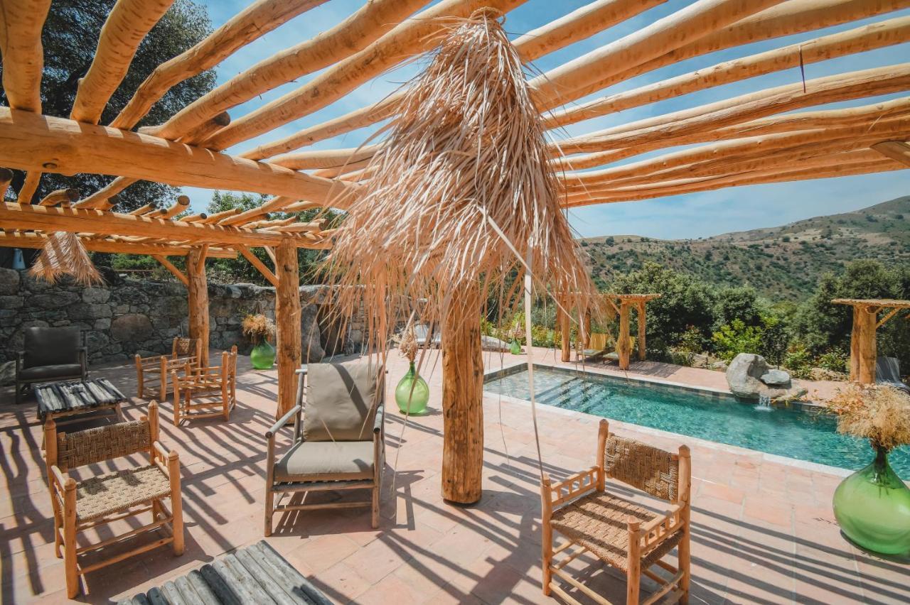 Residence De Luxe 4 Etoiles A Pietralba, 4 Logements Piscine Chauffee Balagne Екстериор снимка