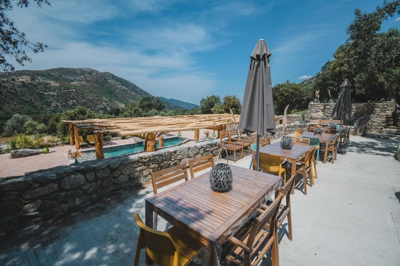 Residence De Luxe 4 Etoiles A Pietralba, 4 Logements Piscine Chauffee Balagne Екстериор снимка