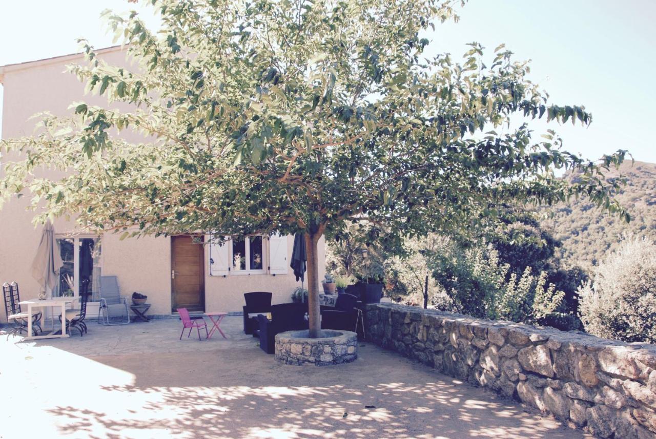 Residence De Luxe 4 Etoiles A Pietralba, 4 Logements Piscine Chauffee Balagne Екстериор снимка